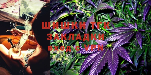 PSILOCYBIN Балабаново